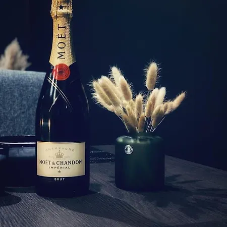 بيت ضيافة Zen Obscure Elegant Bois D'havre *