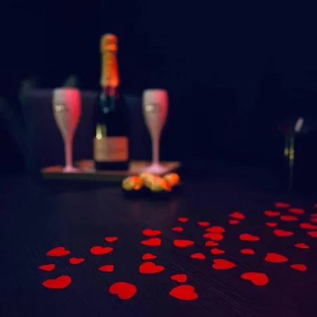 بيت ضيافة Zen Obscure Elegant Bois D'havre *