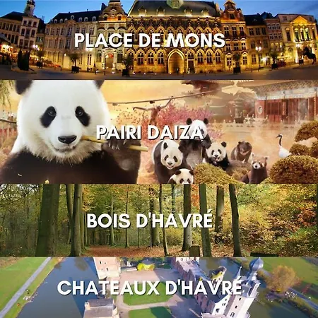 Zen Obscure Elegant Bois D'havre *